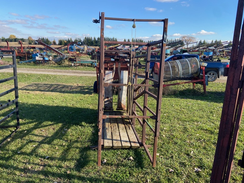 Hay/Forage/Livestock  Cattle Squeeze Chute Photo